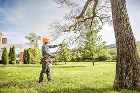 Seasonal Cleanup in Osceola, WI